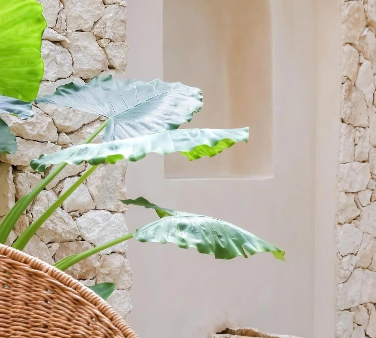 Luxury Villa With Private Pool In La Veleta Tulum 0*,  Mexico