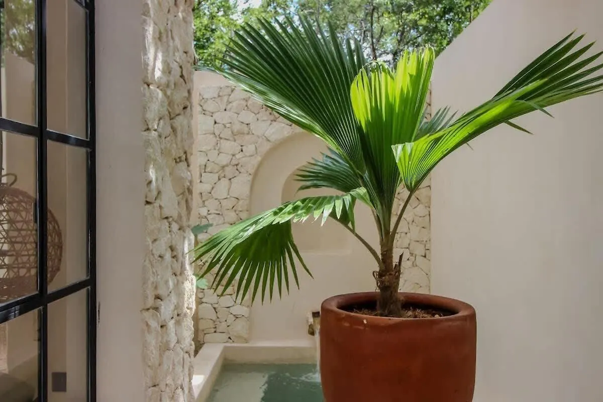 Luxury Villa With Private Pool In La Veleta トゥルム 0*,